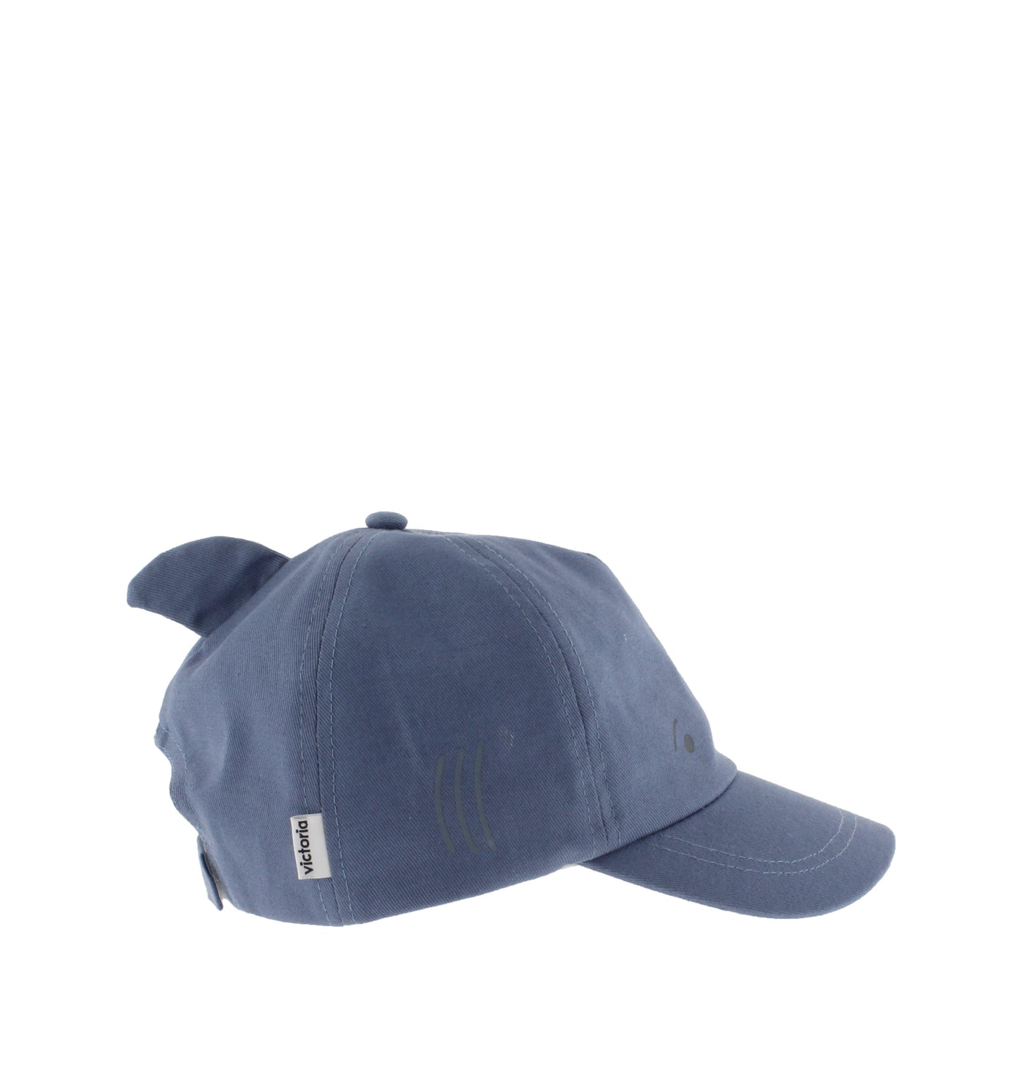 9223009 Animals Eco Canvas Cap Glaciar