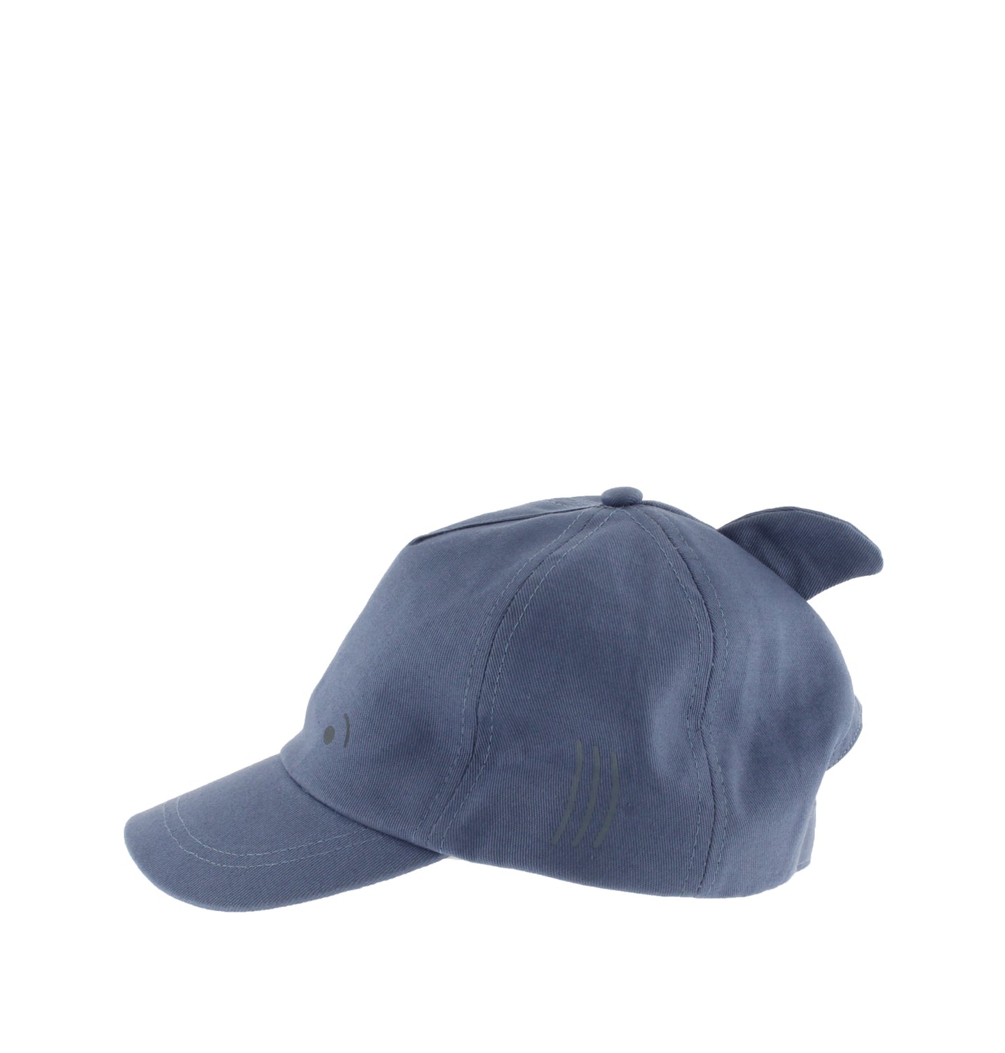 9223009 Animals Eco Canvas Cap Glaciar